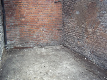 Yard cleaned